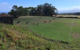 Quinta Do Norte